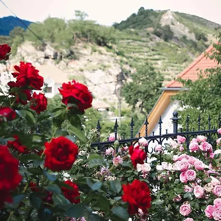 Adam-muehle Lejlighed *