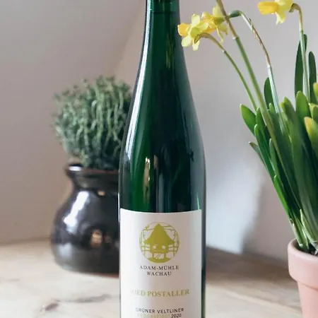 Adam-muehle Lejlighed Spitz an der Donau