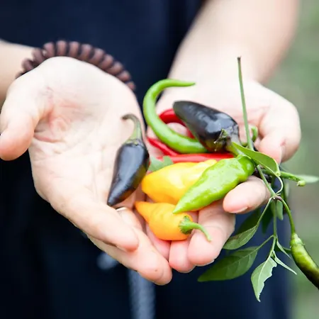 Appartement Adam-muehle