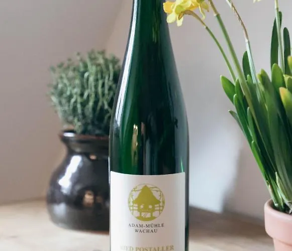 Adam-muehle Apartment Spitz an der Donau