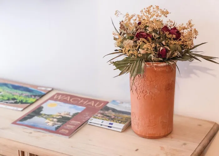 Adam-muehle Spitz an der Donau