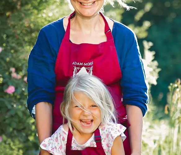 Apartment Adam-muehle Spitz an der Donau