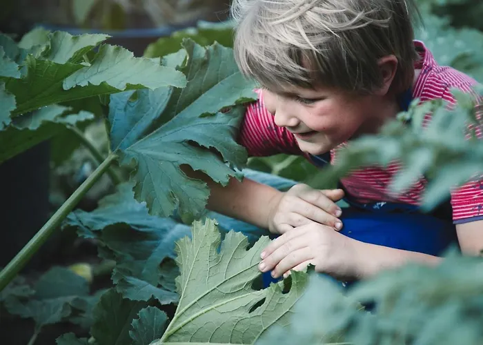 Appartement Adam-muehle *