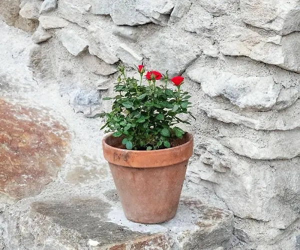 Adam-muehle Apartment Spitz an der Donau