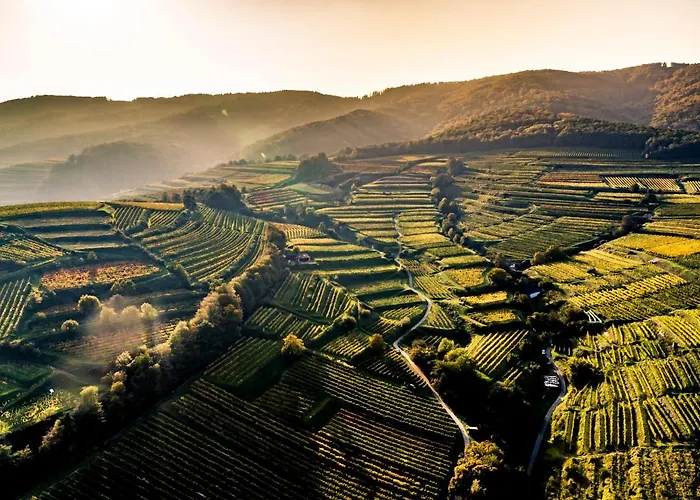 Apartment Adam-muehle