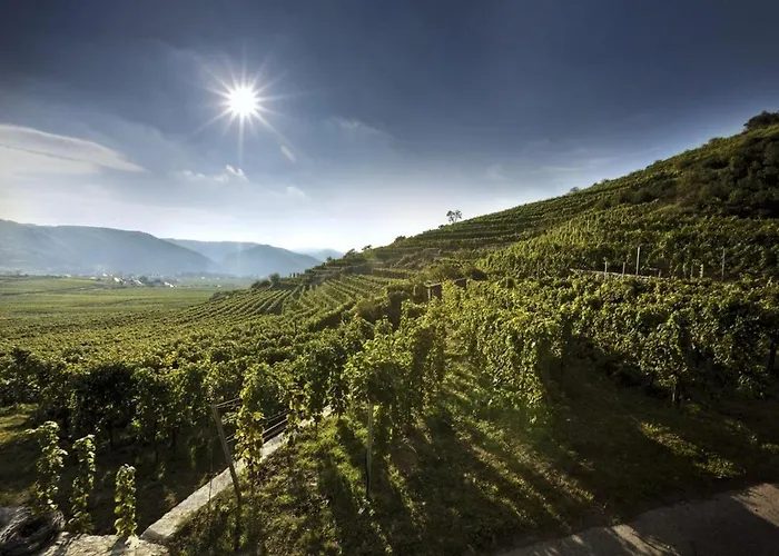 Apartment Adam-muehle