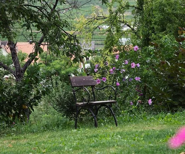 Appartement Adam-muehle *