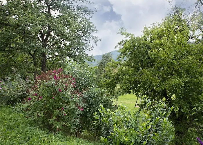 Adam-muehle Apartment *