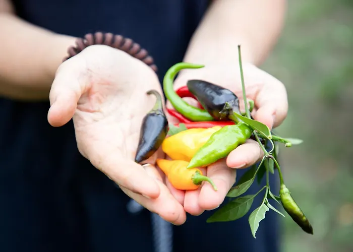 Apartment Adam-muehle